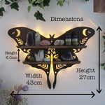 Moon Butterfly Wooden Essential Oil Display Shelf